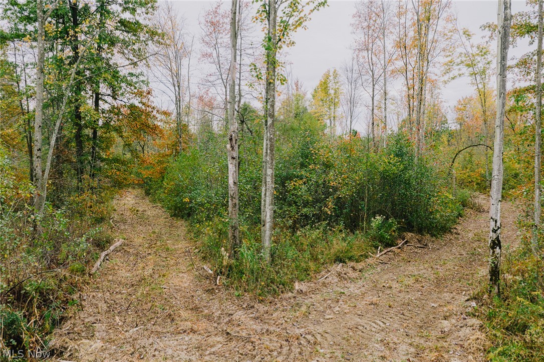 Mahoning Avenue Lake Milton OH 44429