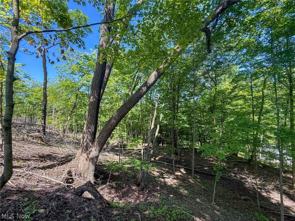 Lot 1 Altamont Road Mingo Junction OH 43938