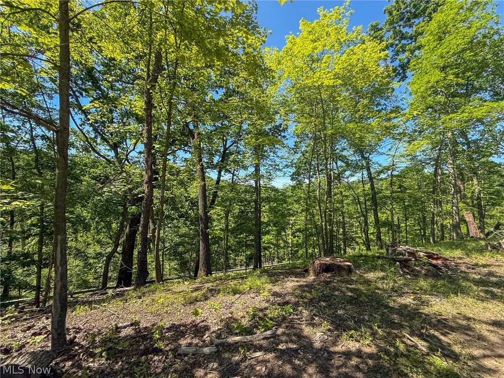 Lot 1 Altamont Road Mingo Junction OH 43938