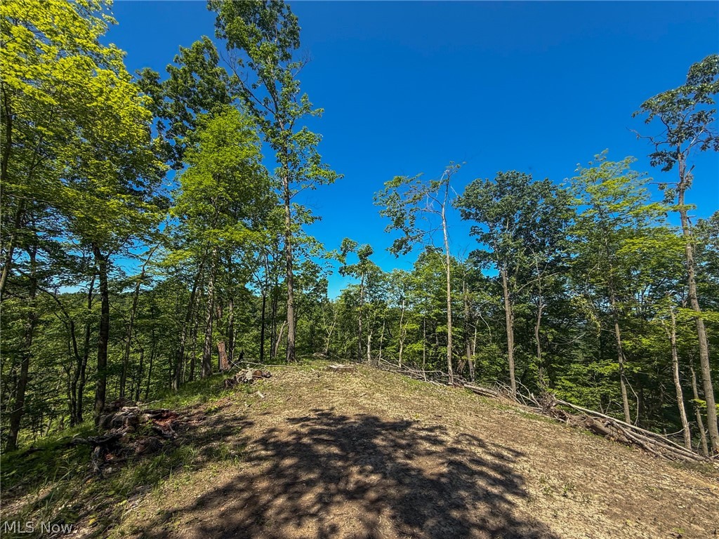 Lot 1 Altamont Road Mingo Junction OH 43938
