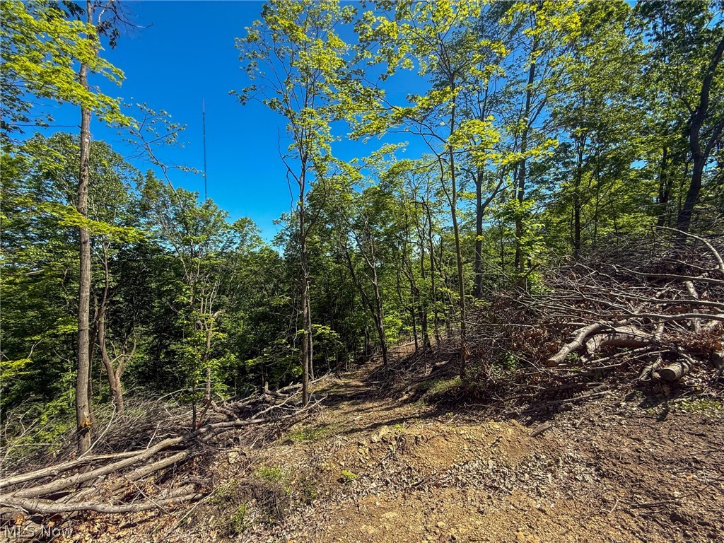 Lot 1 Altamont Road Mingo Junction OH 43938
