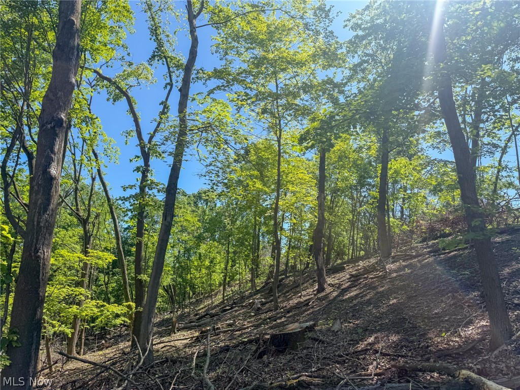Lot 1 Altamont Road Mingo Junction OH 43938