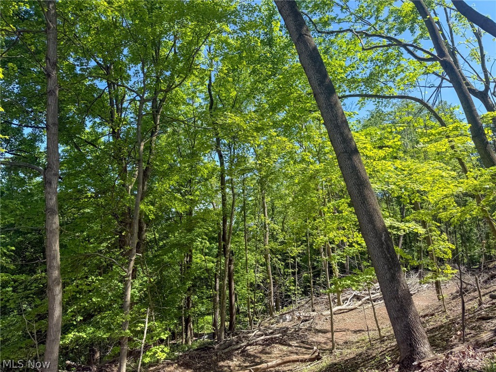 Lot 1 Altamont Road Mingo Junction OH 43938