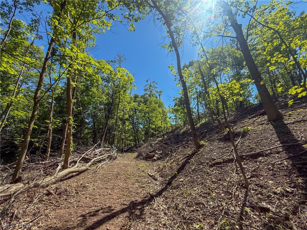 Lot 1 Altamont Road Mingo Junction OH 43938