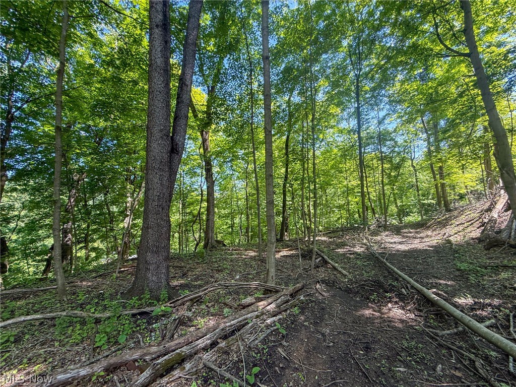 Lot 1 Altamont Road Mingo Junction OH 43938