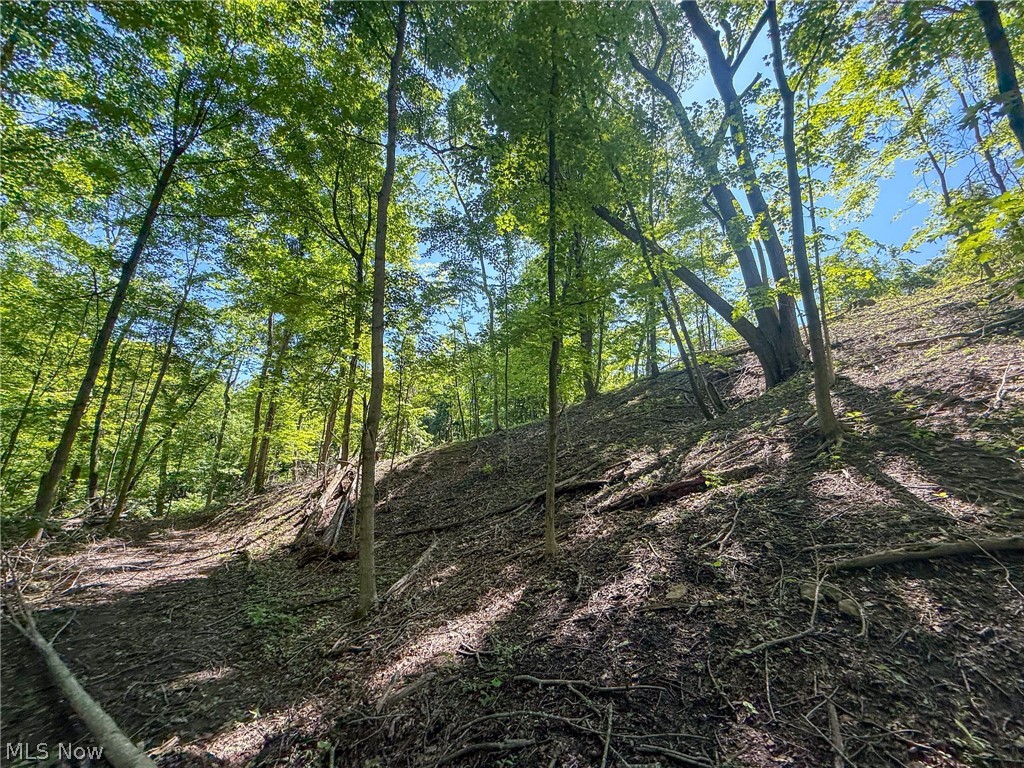 Lot 1 Altamont Road Mingo Junction OH 43938