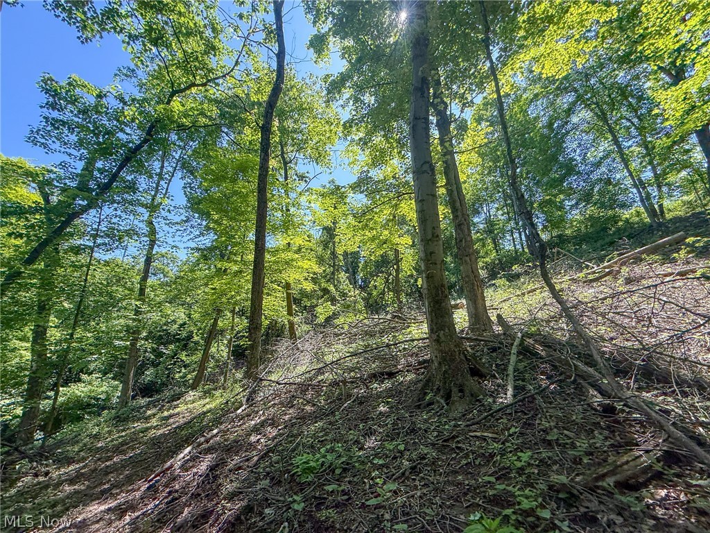 Lot 1 Altamont Road Mingo Junction OH 43938
