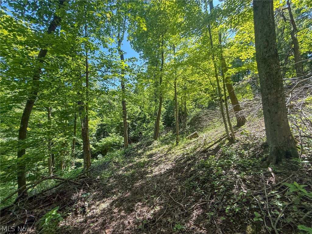 Lot 1 Altamont Road Mingo Junction OH 43938