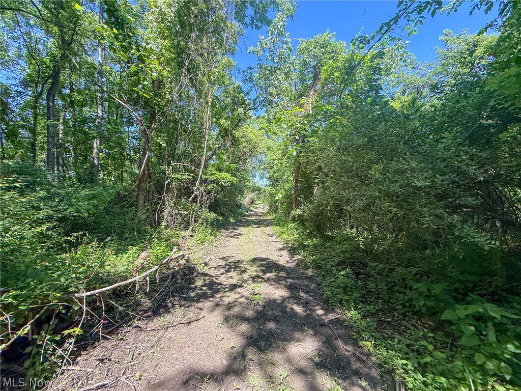 Lot 1 Altamont Road Mingo Junction OH 43938