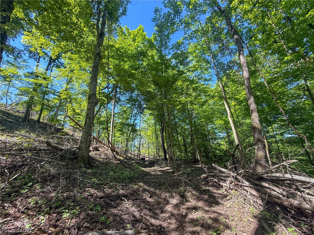 Lot 1 Altamont Road Mingo Junction OH 43938
