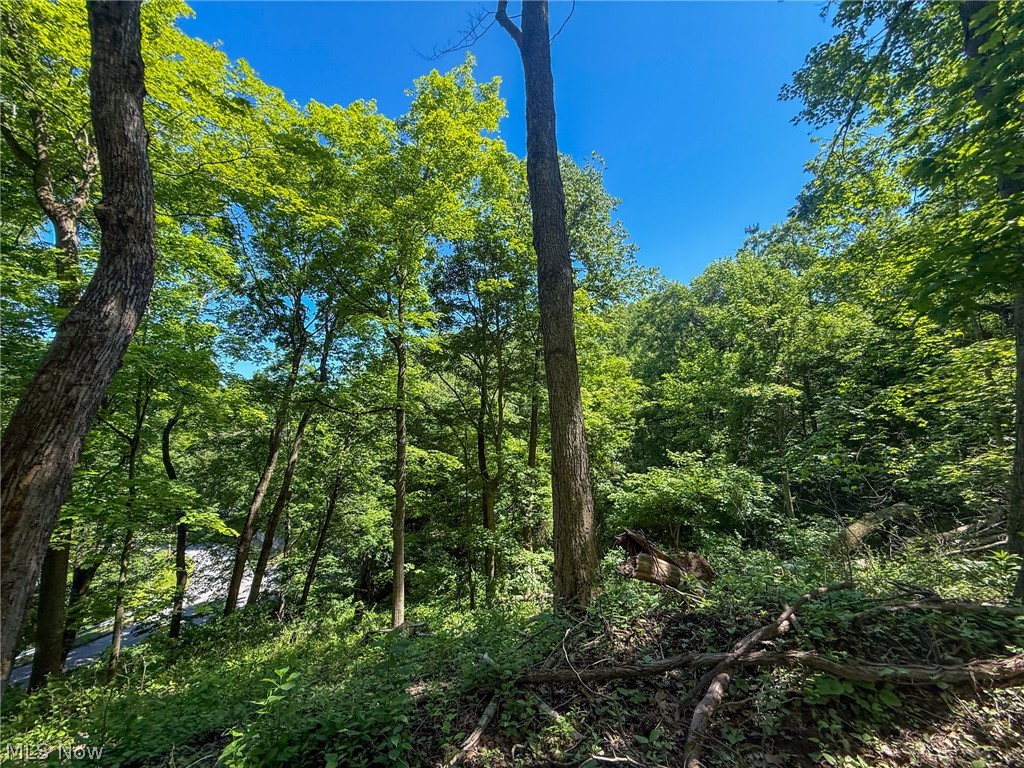 Lot 1 Altamont Road Mingo Junction OH 43938