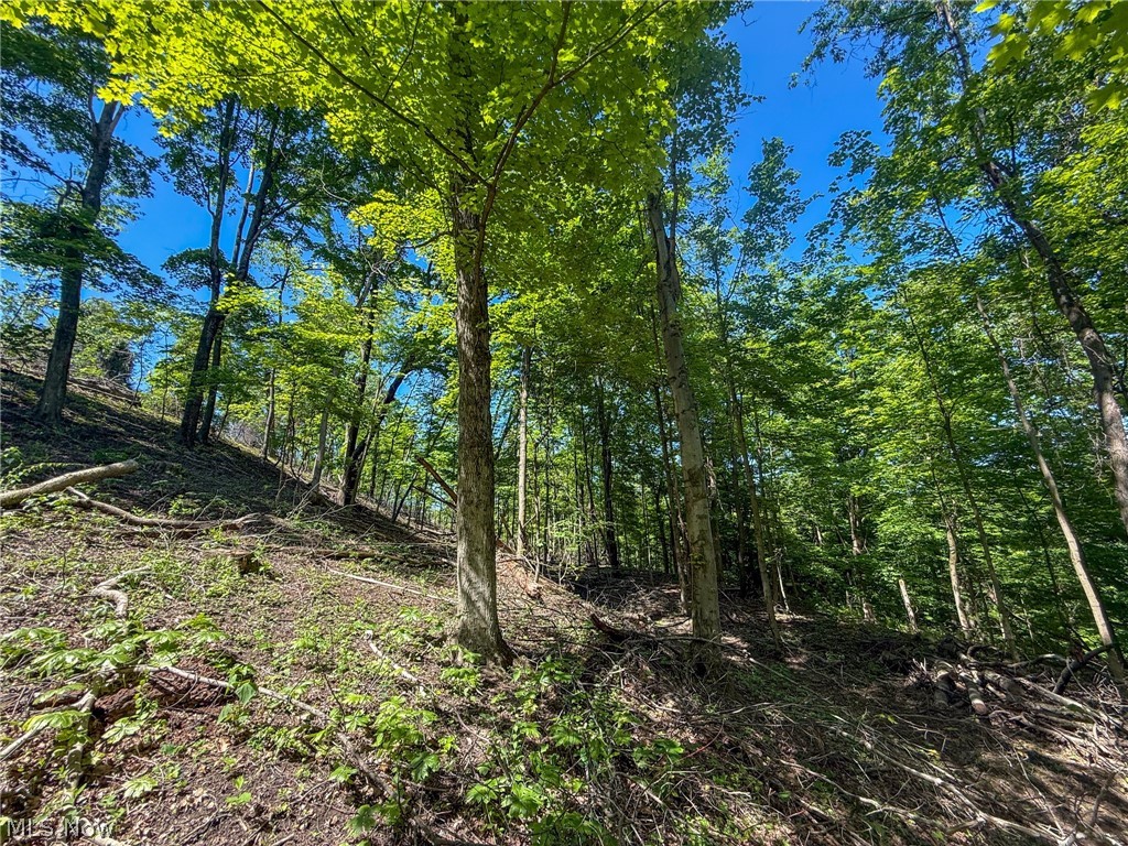 Lot 1 Altamont Road Mingo Junction OH 43938