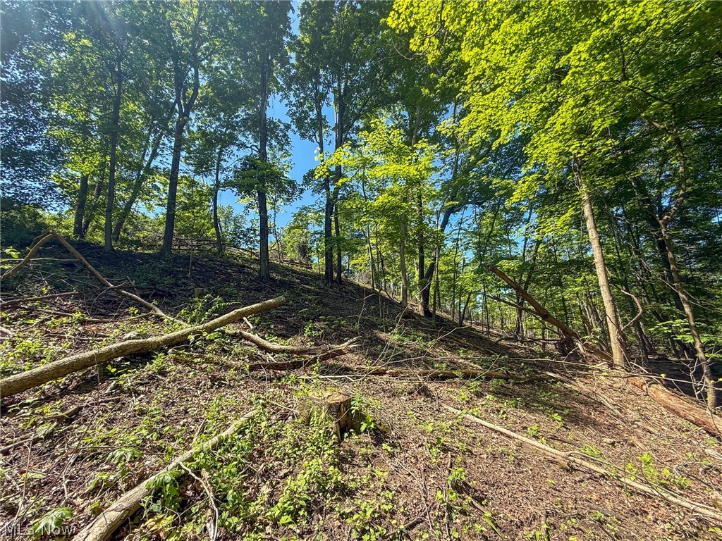 Lot 1 Altamont Road Mingo Junction OH 43938