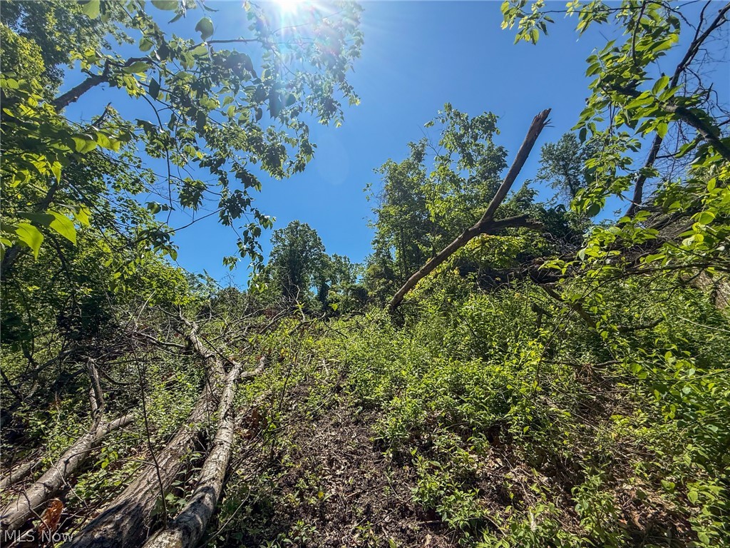Lot 1 Altamont Road Mingo Junction OH 43938