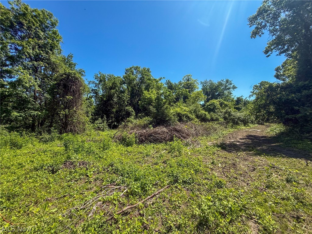 Lot 1 Altamont Road Mingo Junction OH 43938
