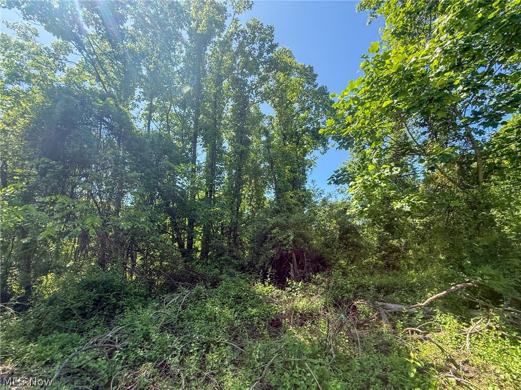 Lot 1 Altamont Road Mingo Junction OH 43938