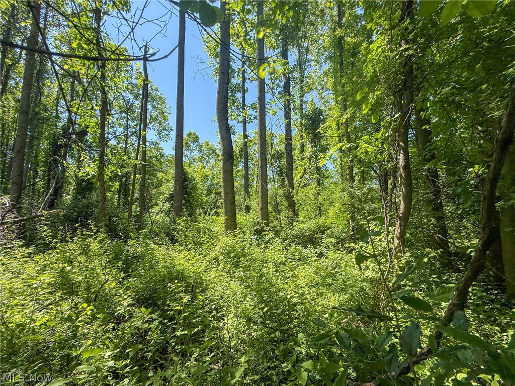 Lot 1 Altamont Road Mingo Junction OH 43938