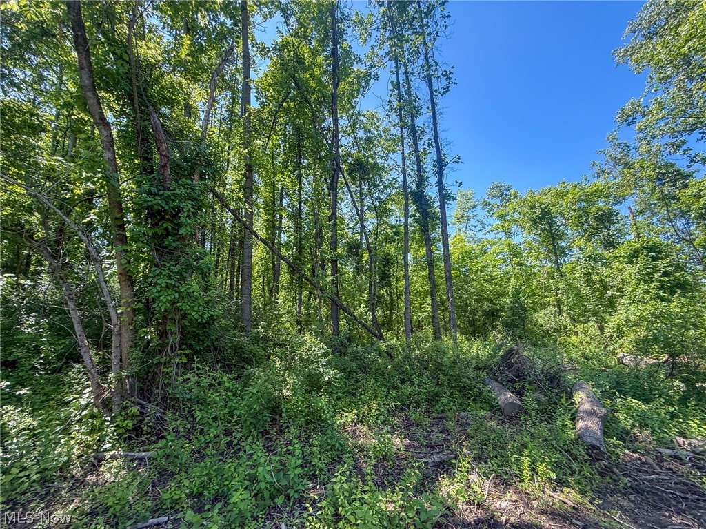 Lot 1 Altamont Road Mingo Junction OH 43938