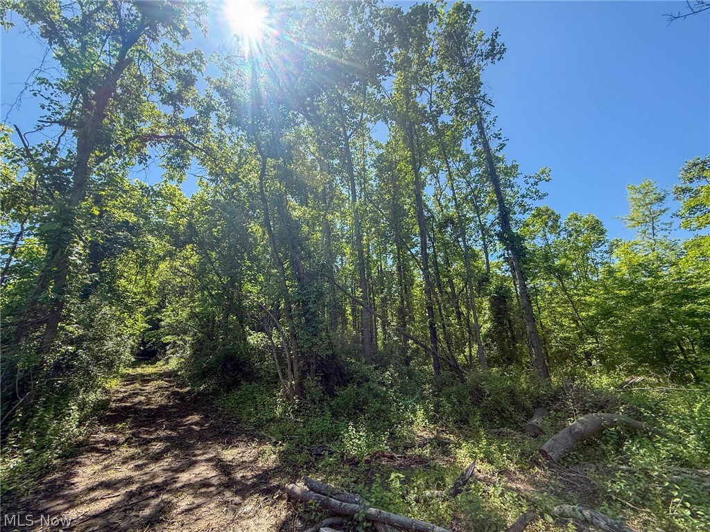 Lot 1 Altamont Road Mingo Junction OH 43938