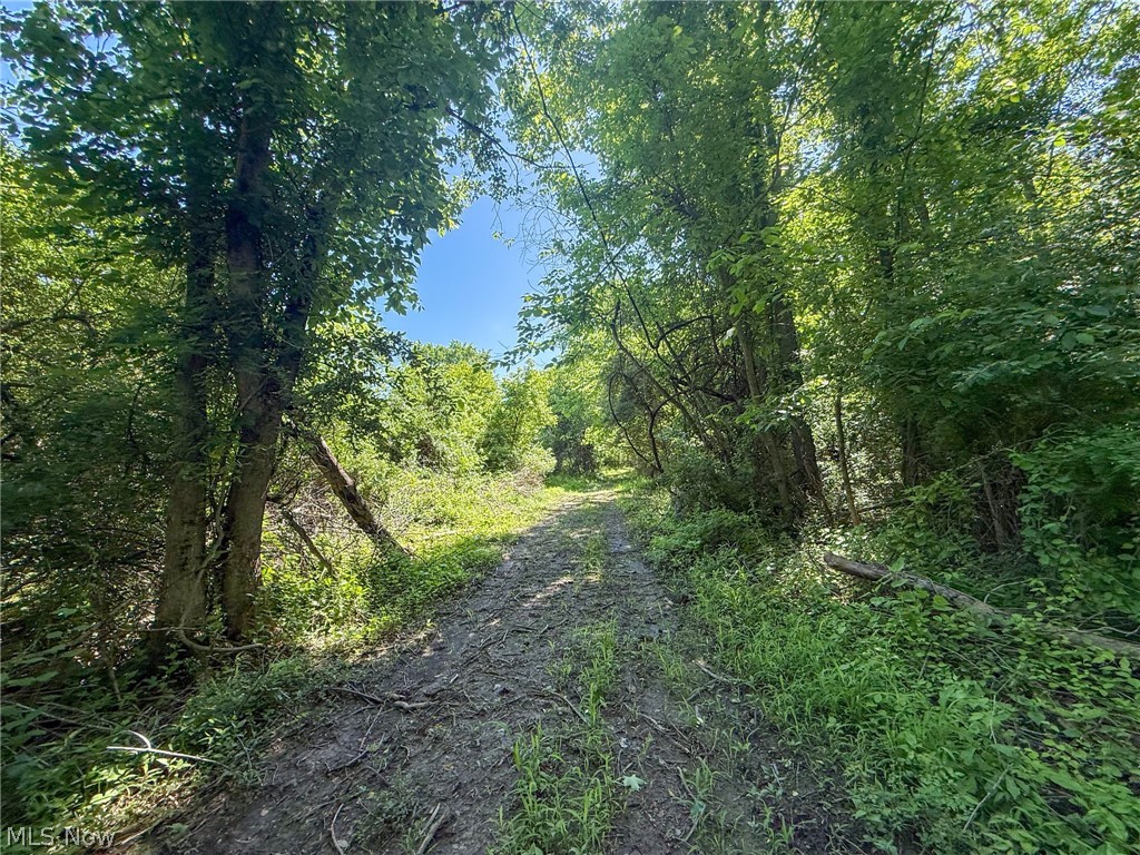Lot 1 Altamont Road Mingo Junction OH 43938
