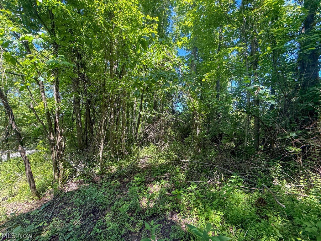 Lot 1 Altamont Road Mingo Junction OH 43938