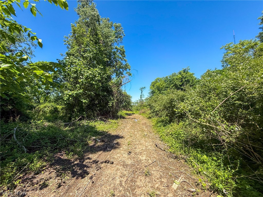 Lot 1 Altamont Road Mingo Junction OH 43938