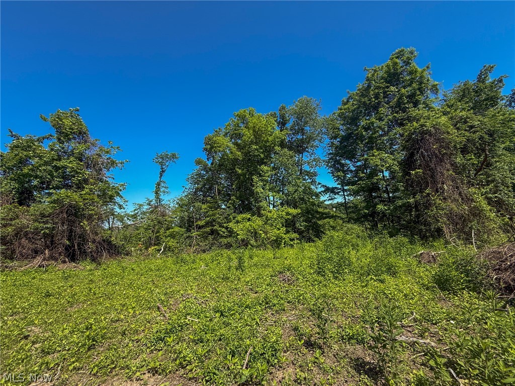 Lot 1 Altamont Road Mingo Junction OH 43938