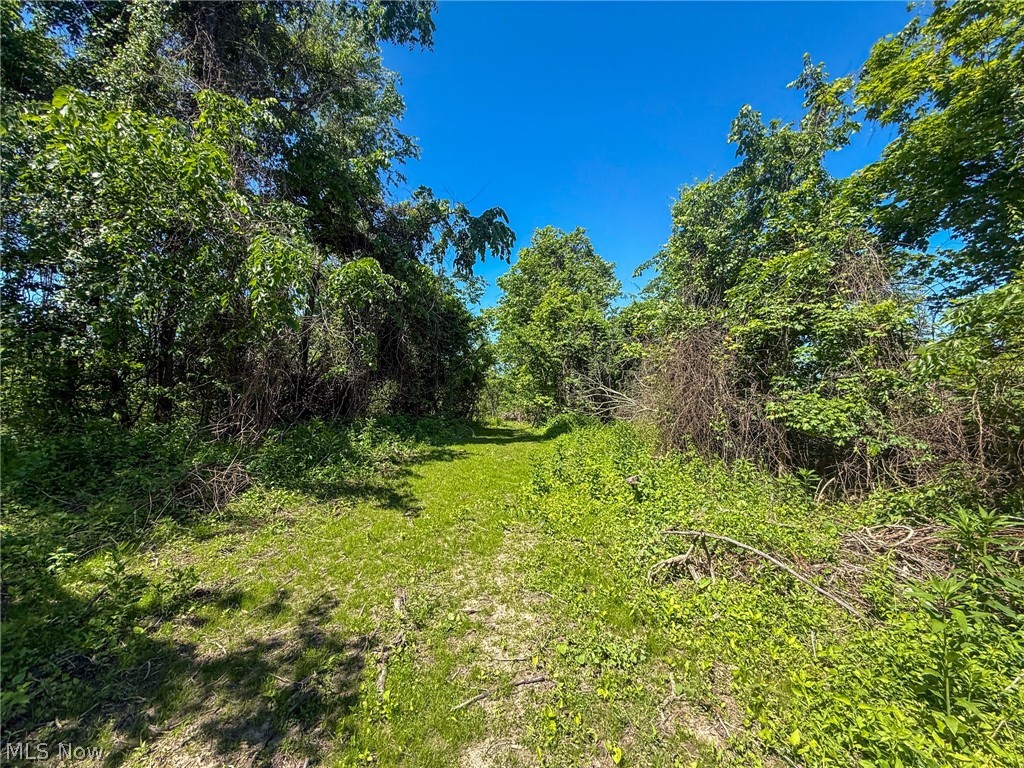 Lot 1 Altamont Road Mingo Junction OH 43938