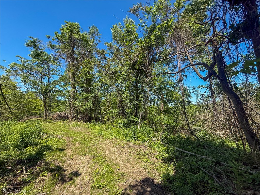 Lot 1 Altamont Road Mingo Junction OH 43938