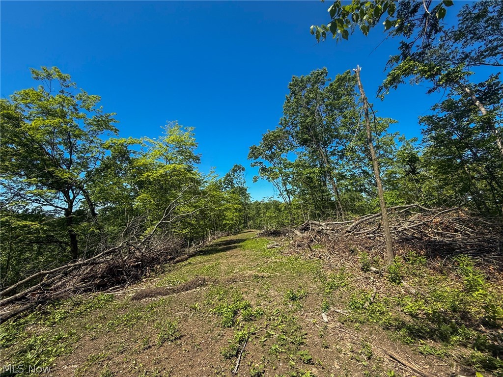 Lot 1 Altamont Road Mingo Junction OH 43938