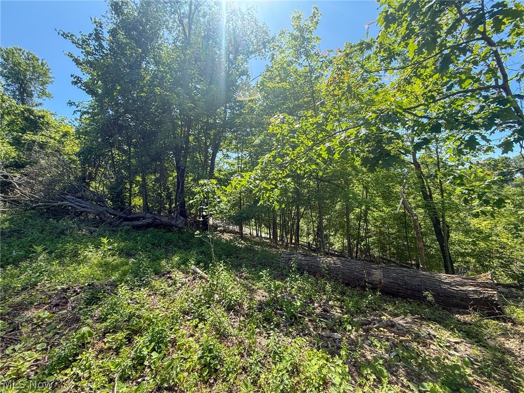 Lot 1 Altamont Road Mingo Junction OH 43938