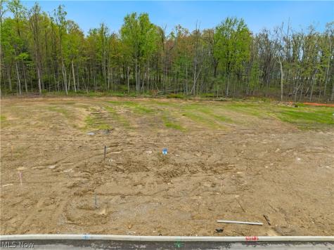 9531 River Birch Run Brecksville OH 44141