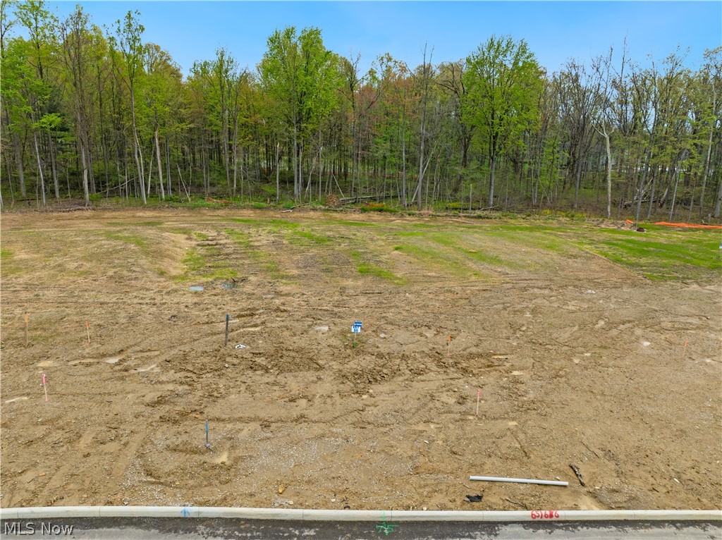 9531 River Birch Run Brecksville OH 44141