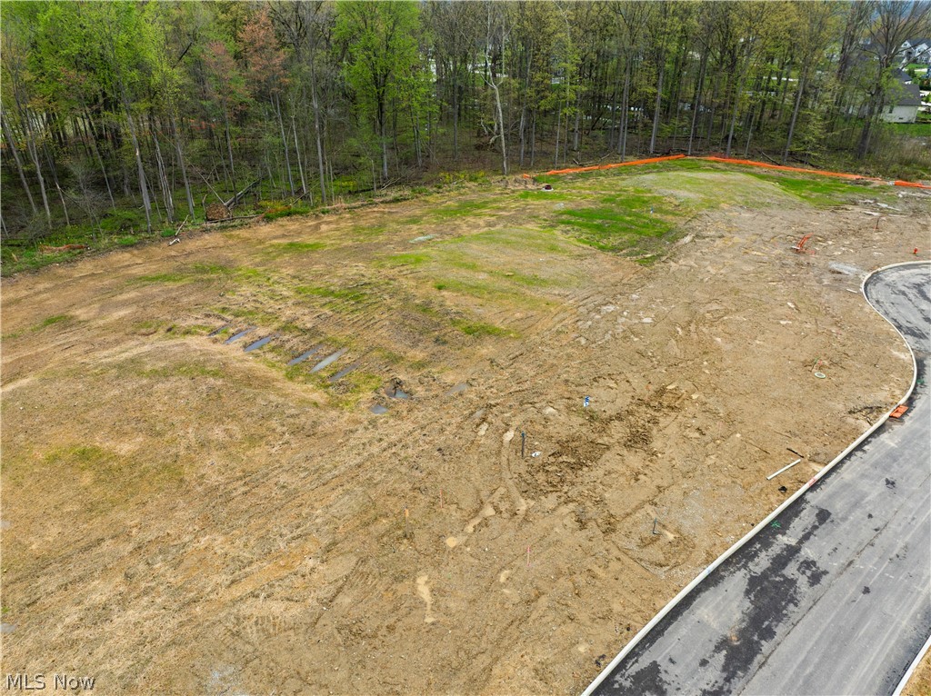 9531 River Birch Run Brecksville OH 44141
