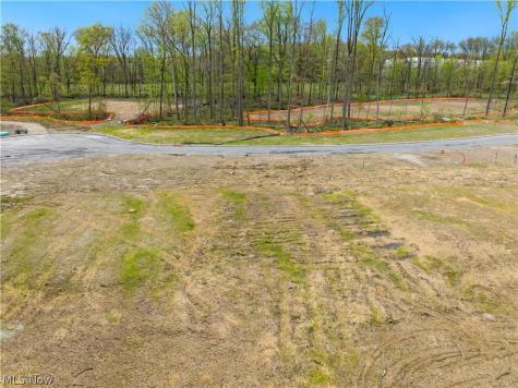 9531 River Birch Run Brecksville OH 44141