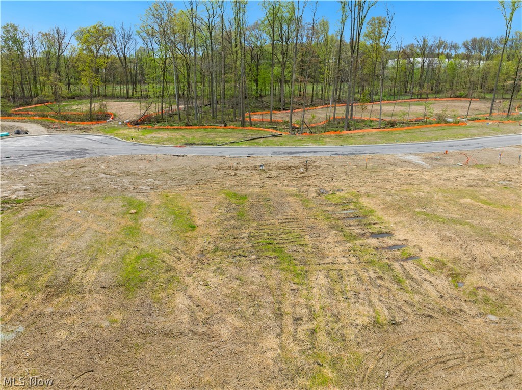 9531 River Birch Run Brecksville OH 44141
