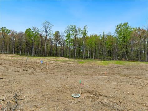9531 River Birch Run Brecksville OH 44141