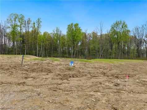 9531 River Birch Run Brecksville OH 44141