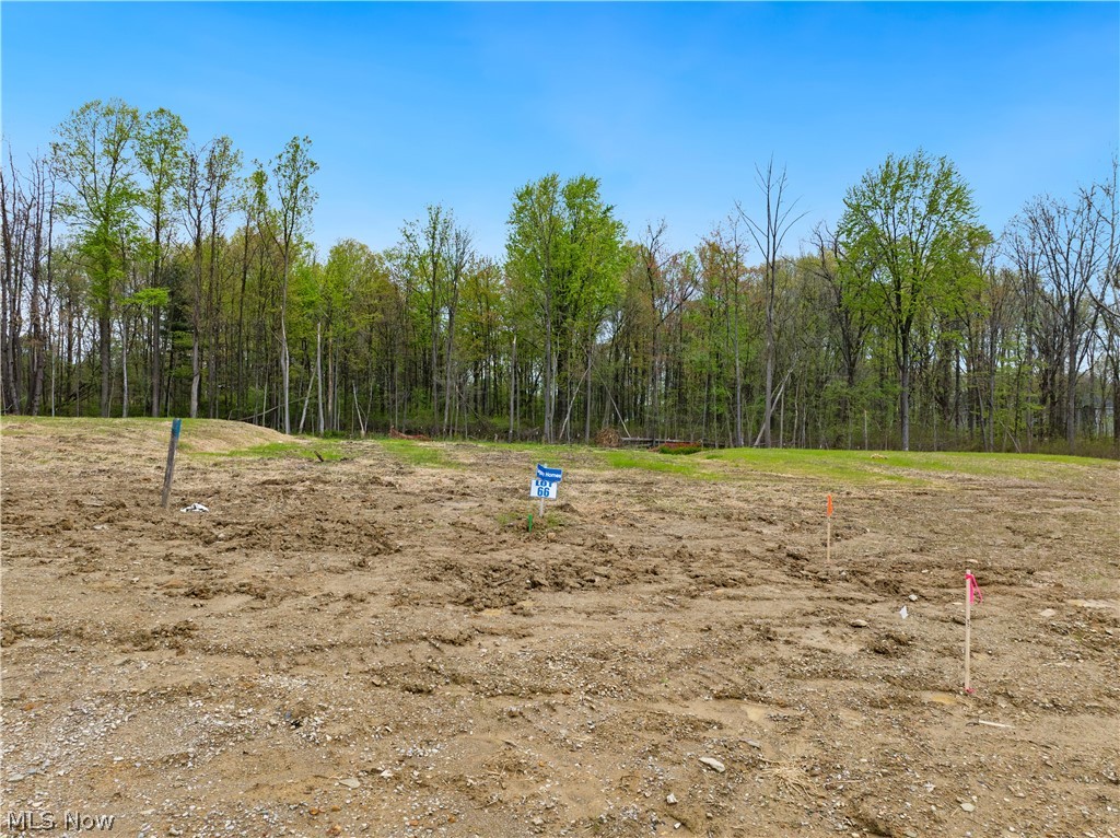 9531 River Birch Run Brecksville OH 44141