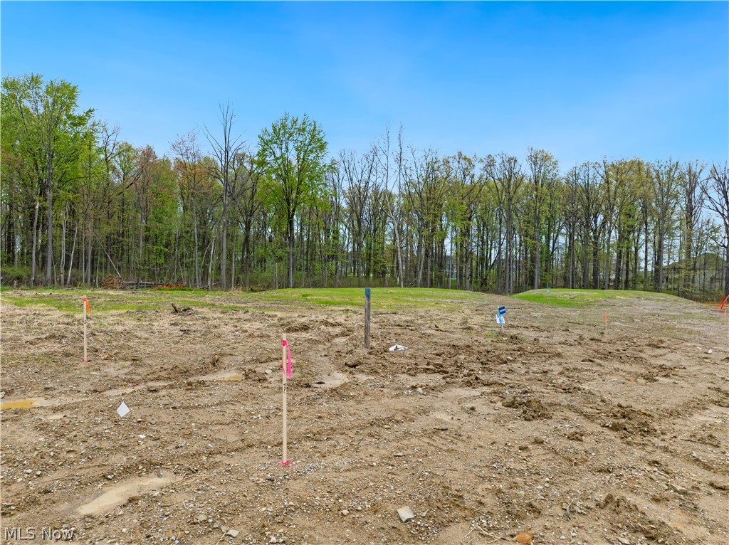 9531 River Birch Run Brecksville OH 44141