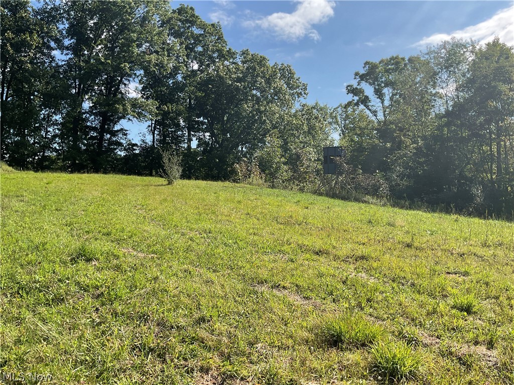 34108 Edwina Road Lewisville OH 43754