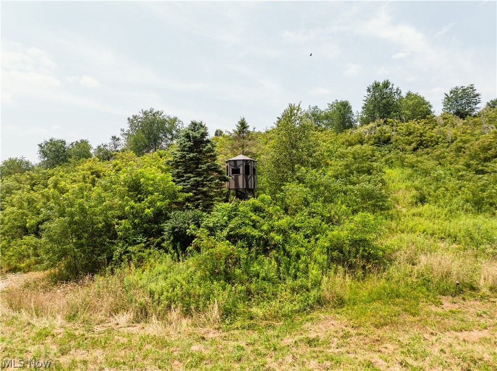 17033 Township Road 118 Kimbolton OH 43749