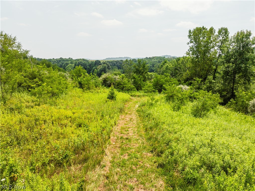 17033 Township Road 118 Kimbolton OH 43749