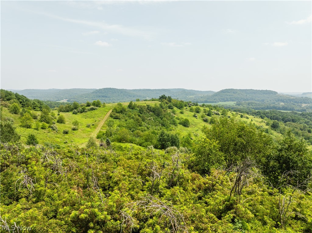 17033 Township Road 118 Kimbolton OH 43749