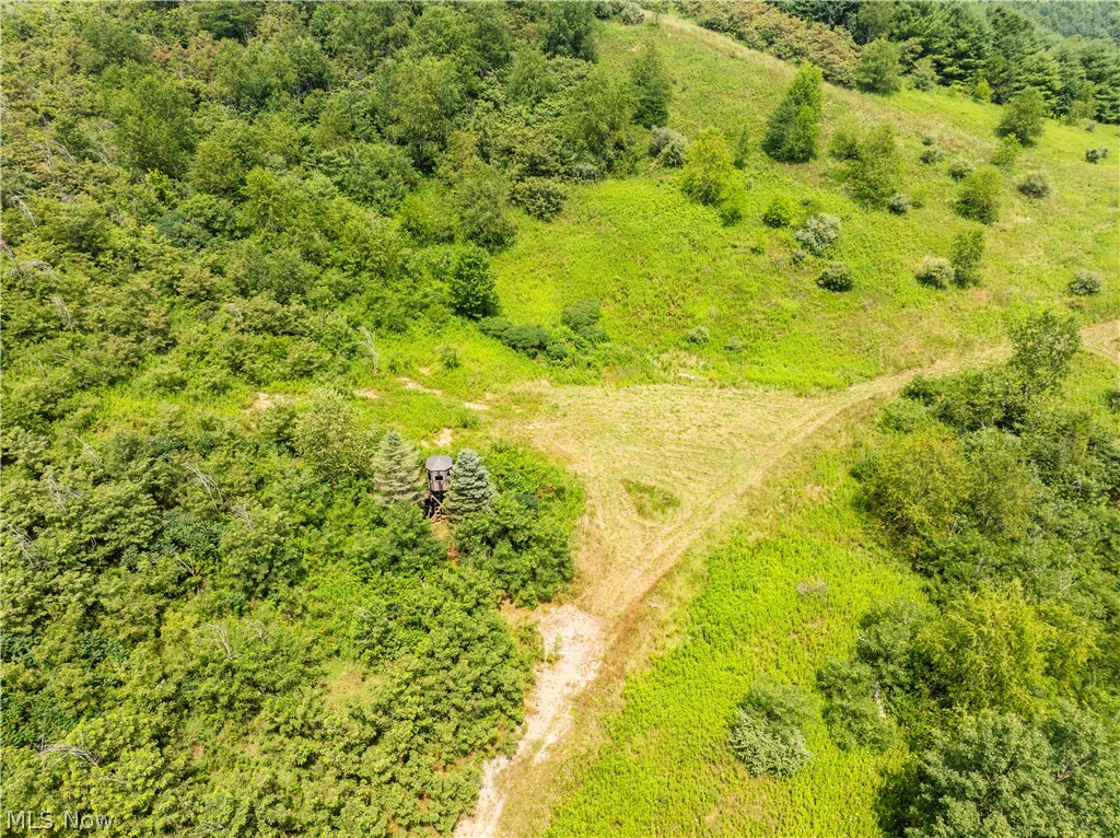 17033 Township Road 118 Kimbolton OH 43749