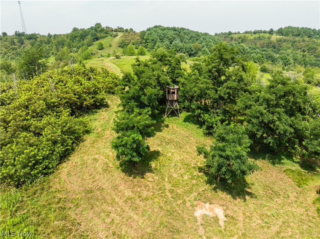 17033 Township Road 118 Kimbolton OH 43749