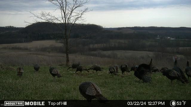 17033 Township Road 118 Kimbolton OH 43749
