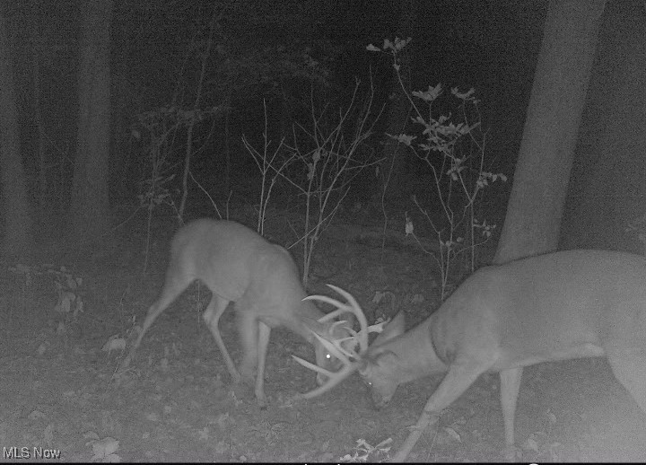 0 Township Road 223 New Lexington OH 43764