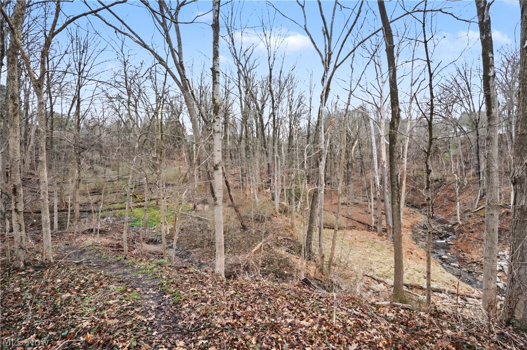 6196 Riverview Road Peninsula OH 44264
