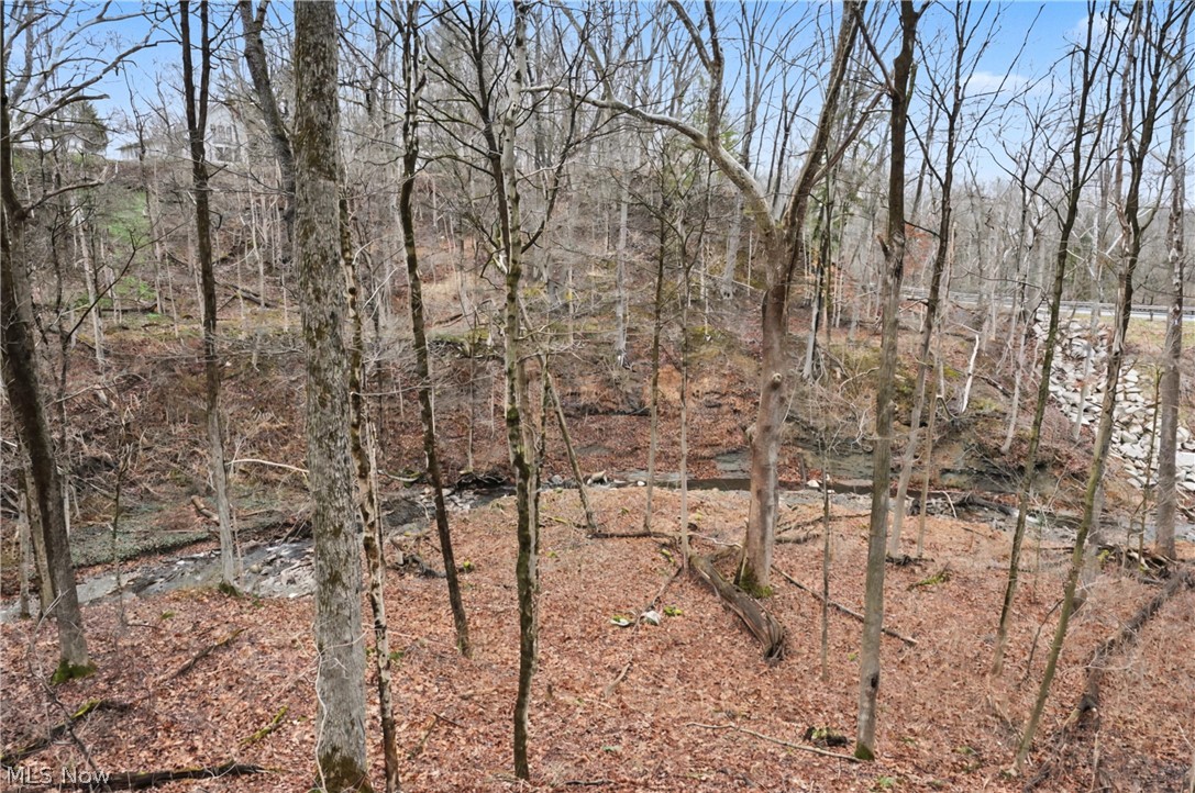 6196 Riverview Road Peninsula OH 44264